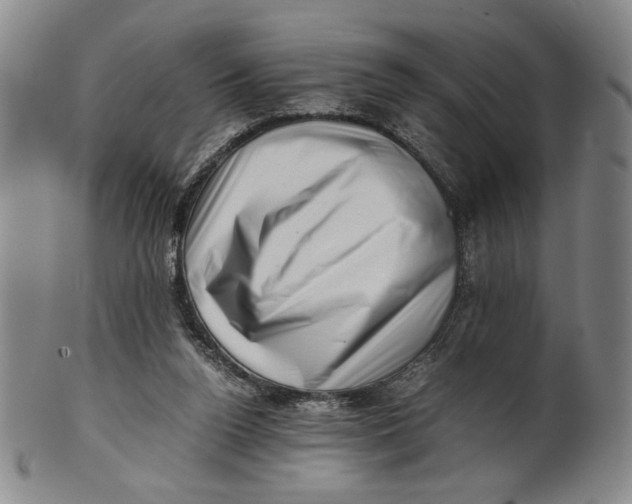 X0000101960160200808081536