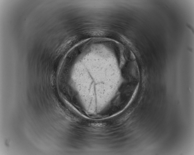 X0000101960161200808081536