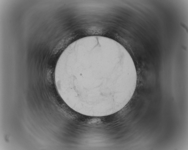 X0000101960162200808081536