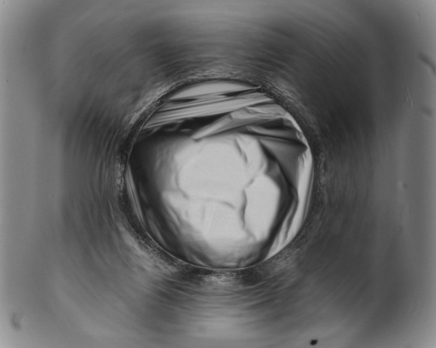 X0000101960164200808081536