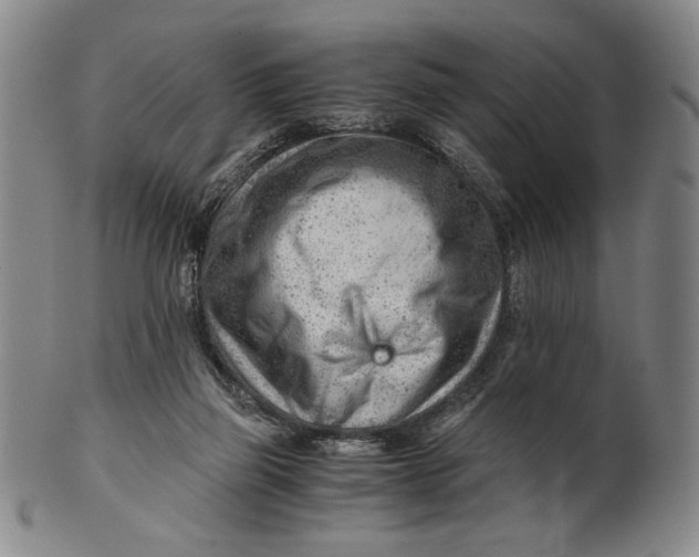 X0000101960165200808081536