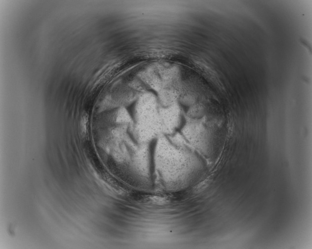 X0000101960166200808081536