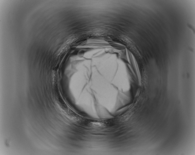 X0000101960167200808081536