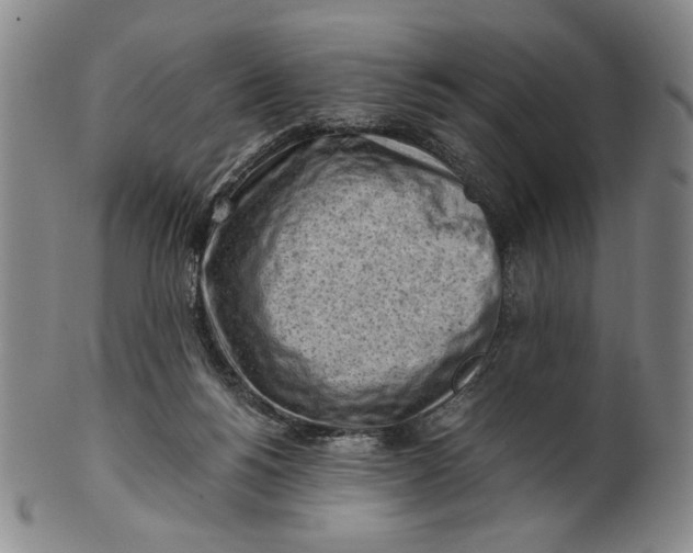 X0000101960168200808081536