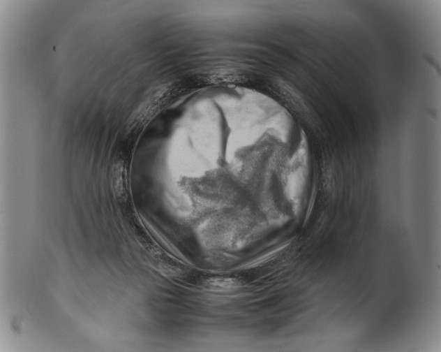 X0000101960169200808081536