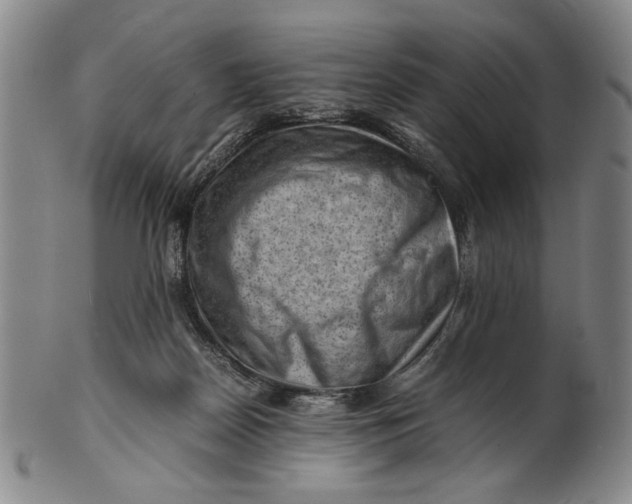 X0000101960170200808081536