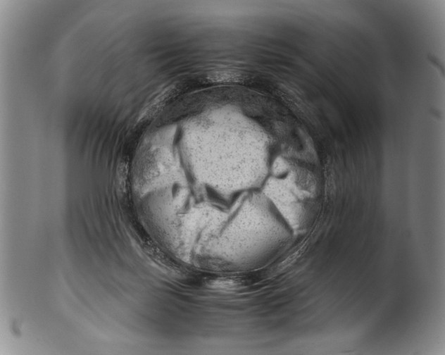 X0000101960171200808081536