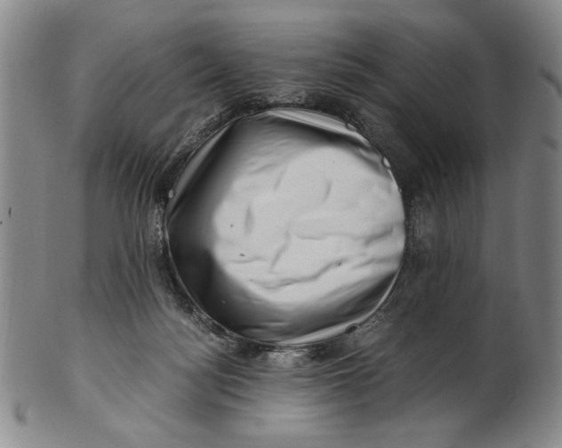 X0000101960172200808081536