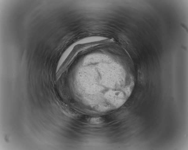 X0000101960173200808081536