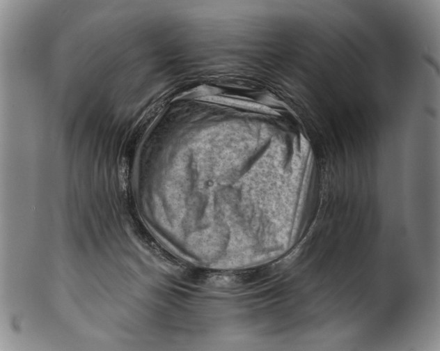X0000101960174200808081536