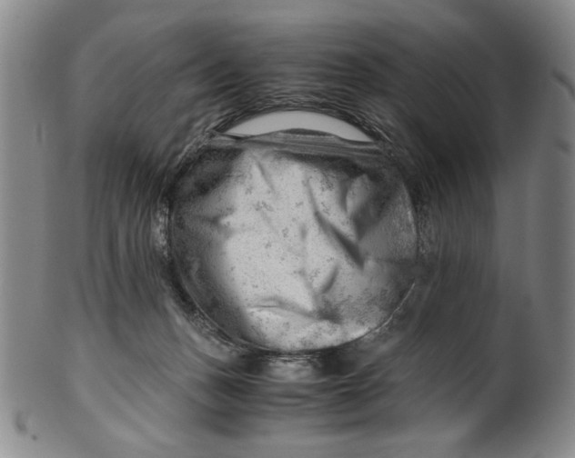 X0000101960175200808081536
