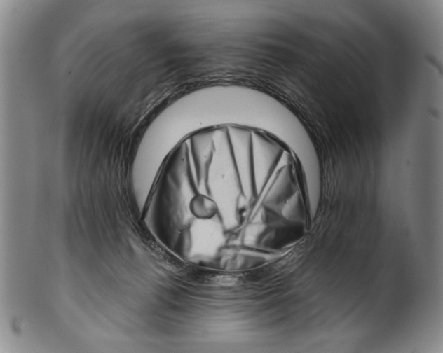 X0000101960176200808081536