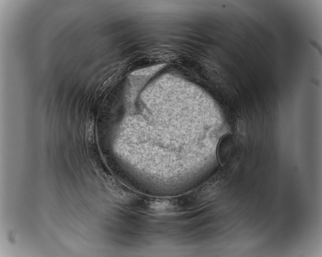 X0000101960177200808081536