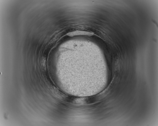 X0000101960178200808081536
