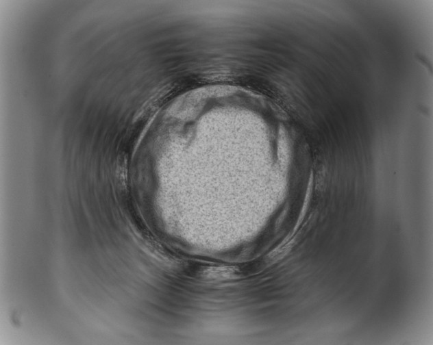 X0000101960179200808081536