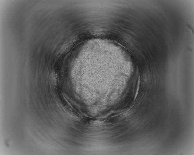 X0000101960180200808081536