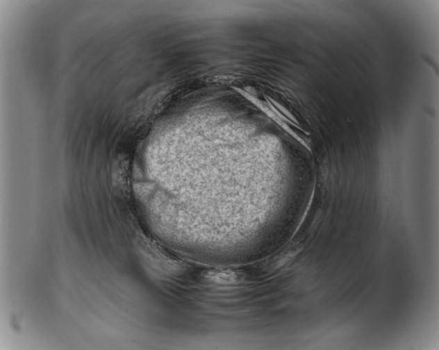 X0000101960181200808081536