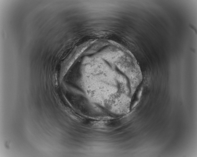 X0000101960182200808081536