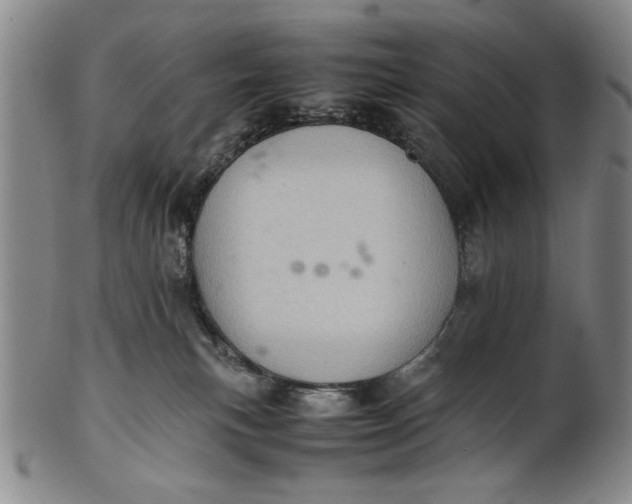 X0000101960183200808081536