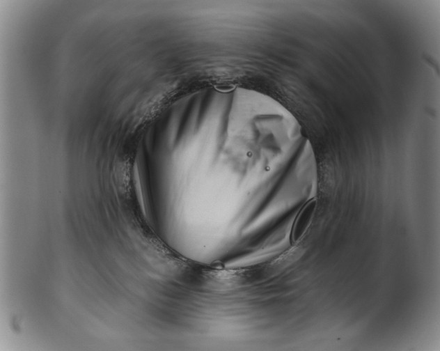 X0000101960184200808081536