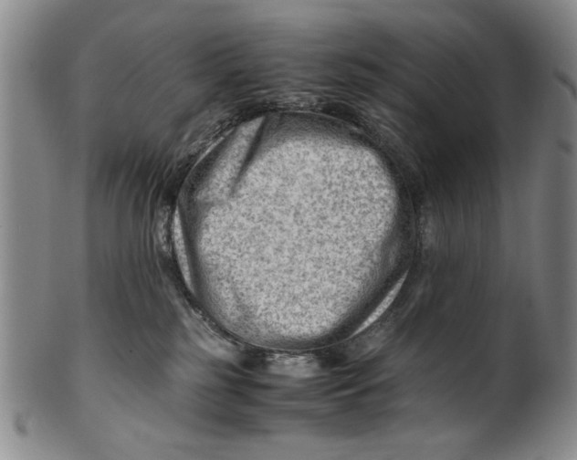 X0000101960185200808081536