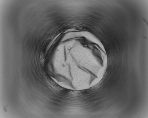 X0000101960186200808081536