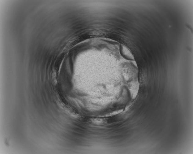 X0000101960187200808081536