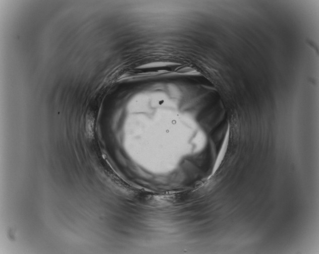 X0000101960188200808081536
