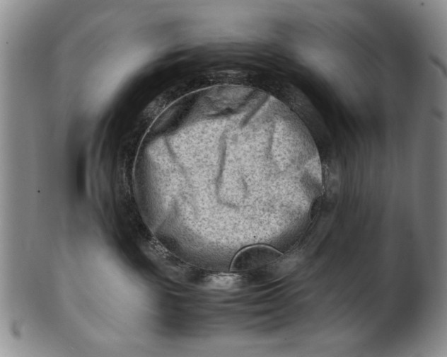 X0000101960189200808081536