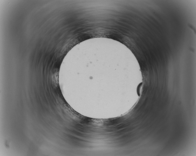 X0000101960190200808081536