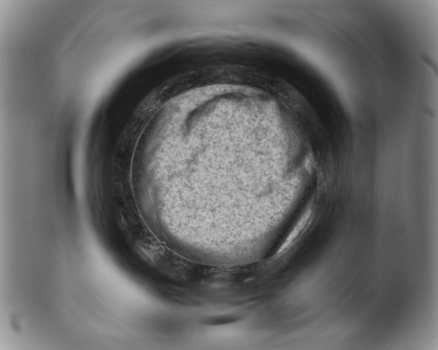 X0000101960191200808081536