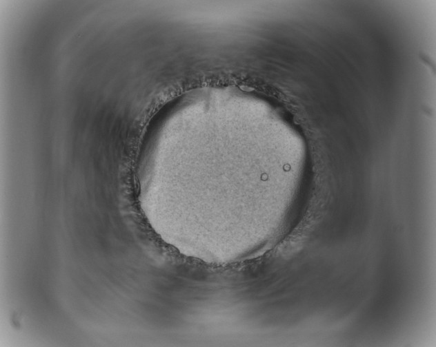 X0000101960192200808081536