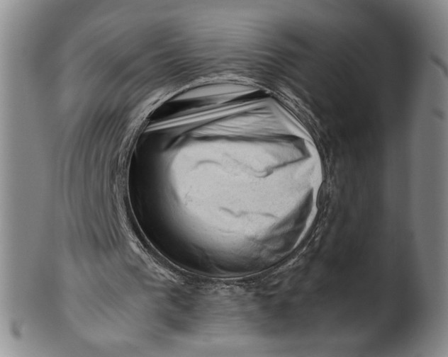 X0000101960193200808081536