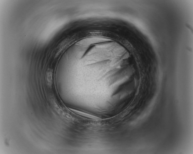 X0000101960194200808081536