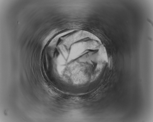X0000101960195200808081536