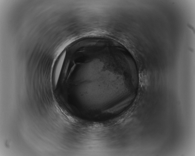 X0000101960196200808081536