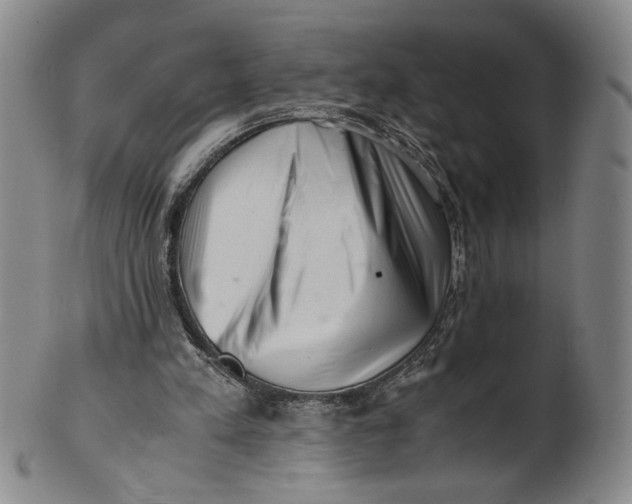 X0000101960197200808081536