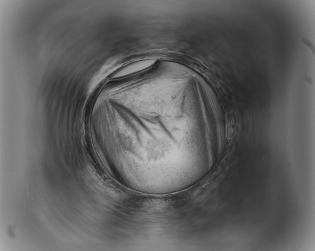 X0000101960198200808081536
