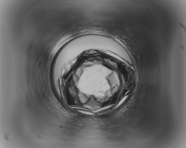 X0000101960199200808081536