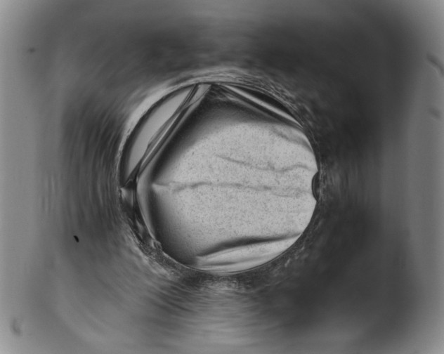 X0000101960200200808081536