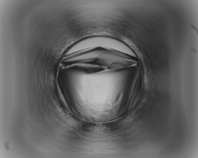 X0000101960201200808081535
