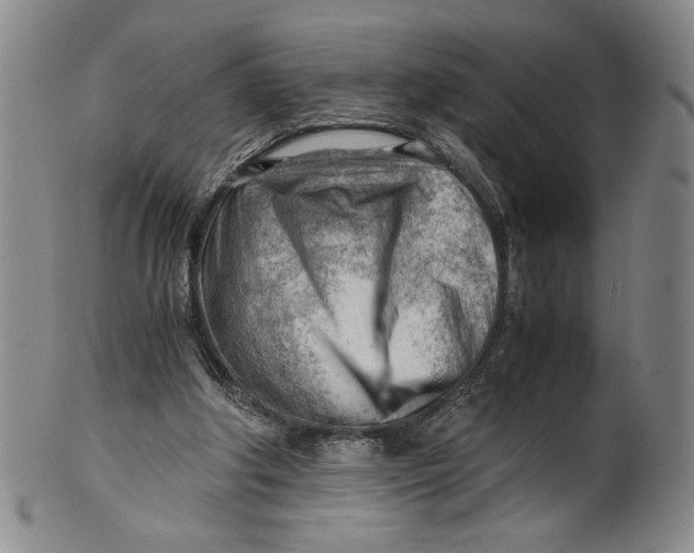 X0000101960202200808081535