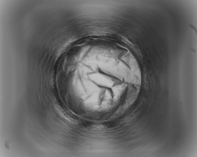 X0000101960203200808081535
