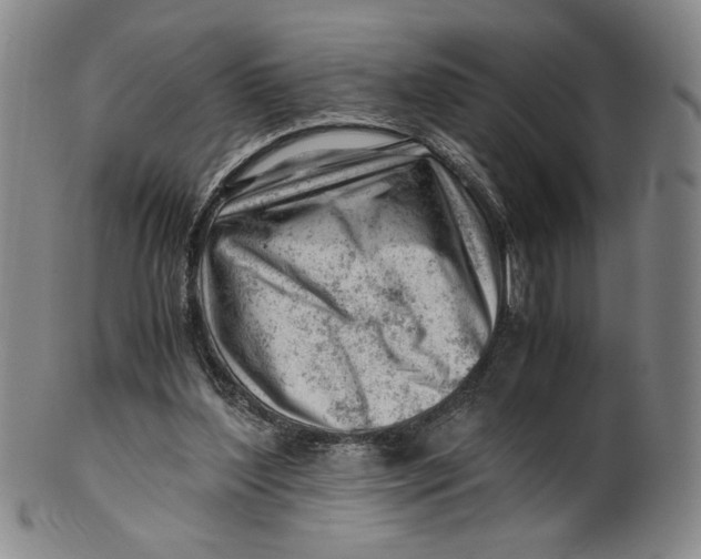X0000101960204200808081535