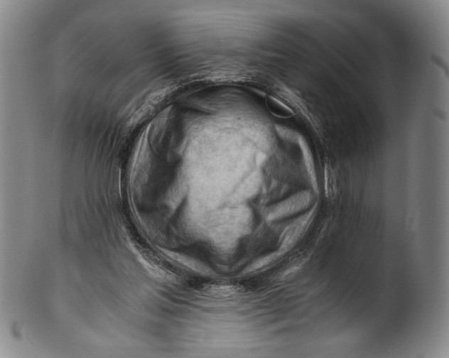 X0000101960205200808081535
