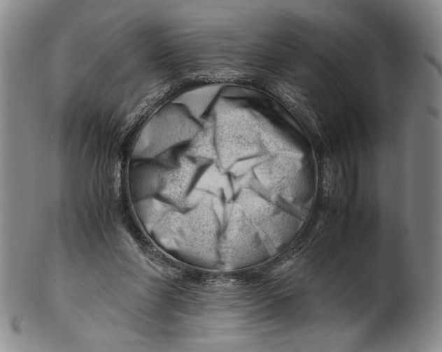 X0000101960206200808081535