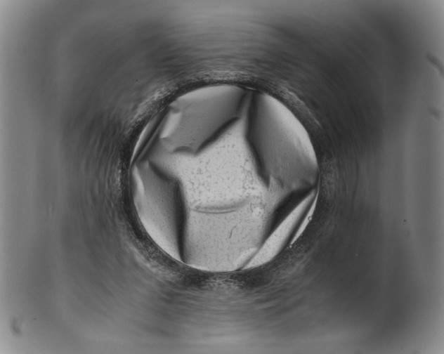 X0000101960207200808081535
