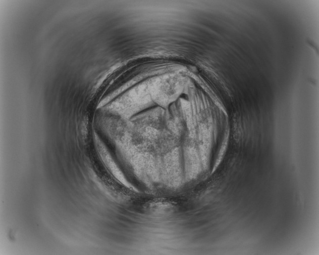 X0000101960208200808081535