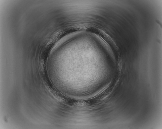 X0000101960209200808081535