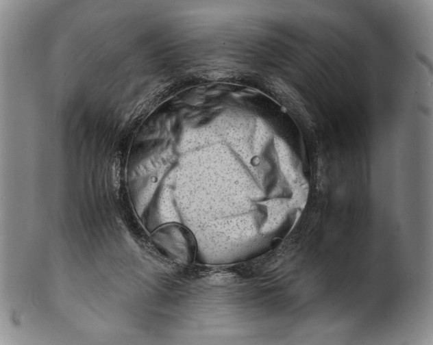 X0000101960210200808081535